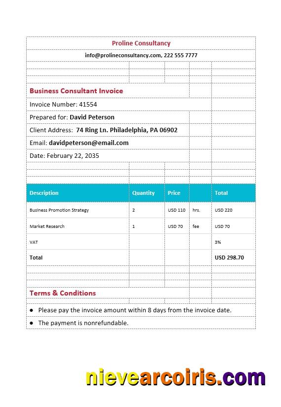 Business Consultant Invoice. Photolook