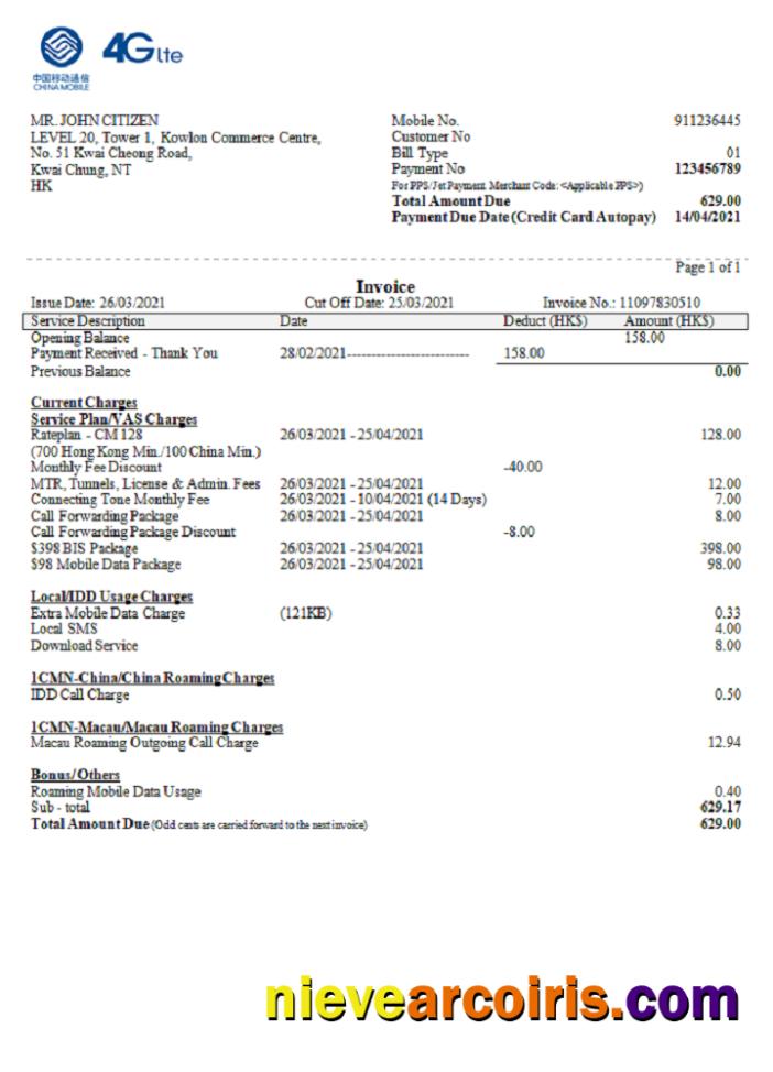 China Mobile Limited Payment Invoice Photolook