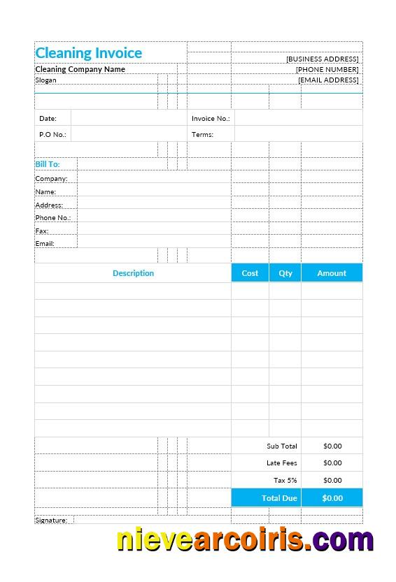 Professional Cleaning Invoice Template