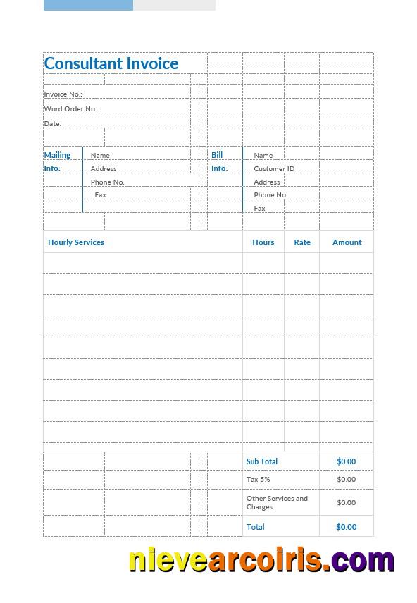 Professional Consultant Invoice Template