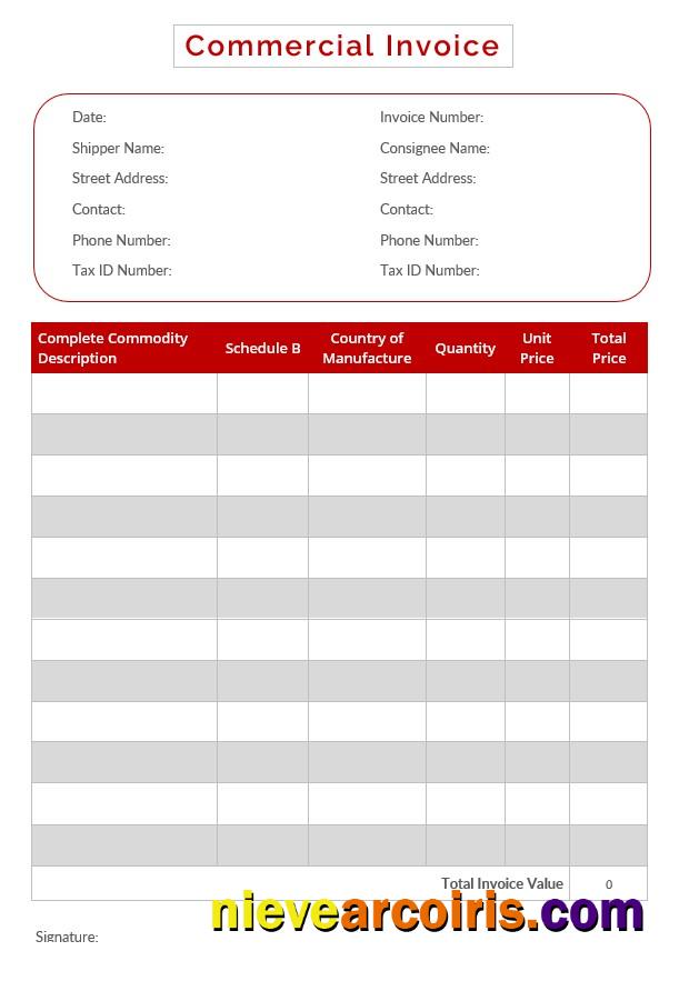 Realistic Editable Commercial Invoice Template