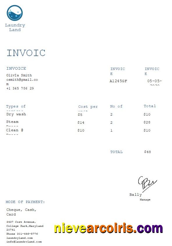 Premium Free Laundry Invoice Template