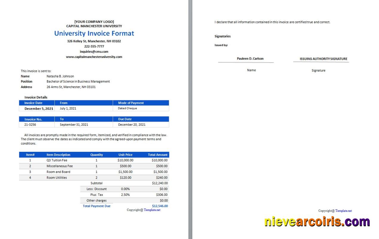 Premium Free University Invoice Format Template