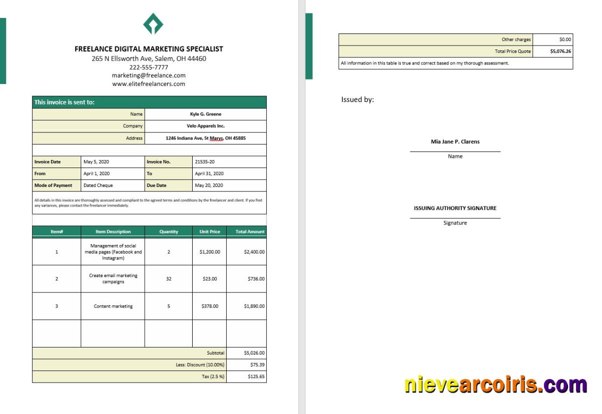 Professional Freelance Service Invoice Template