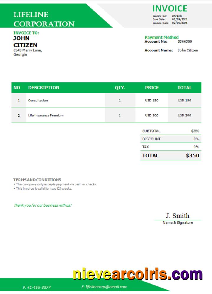 Georgia Lifeline Corporation Invoice Photolook