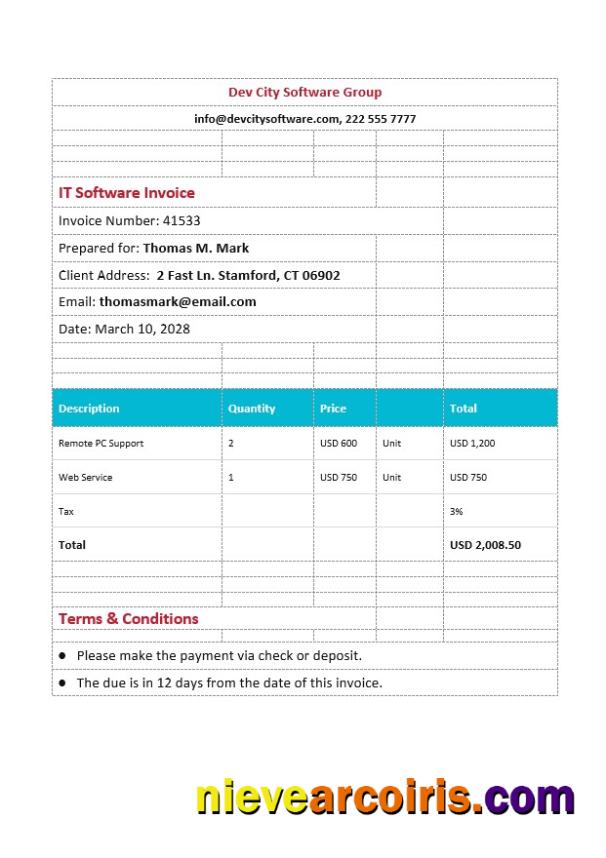 Editable IT Software Invoice Template