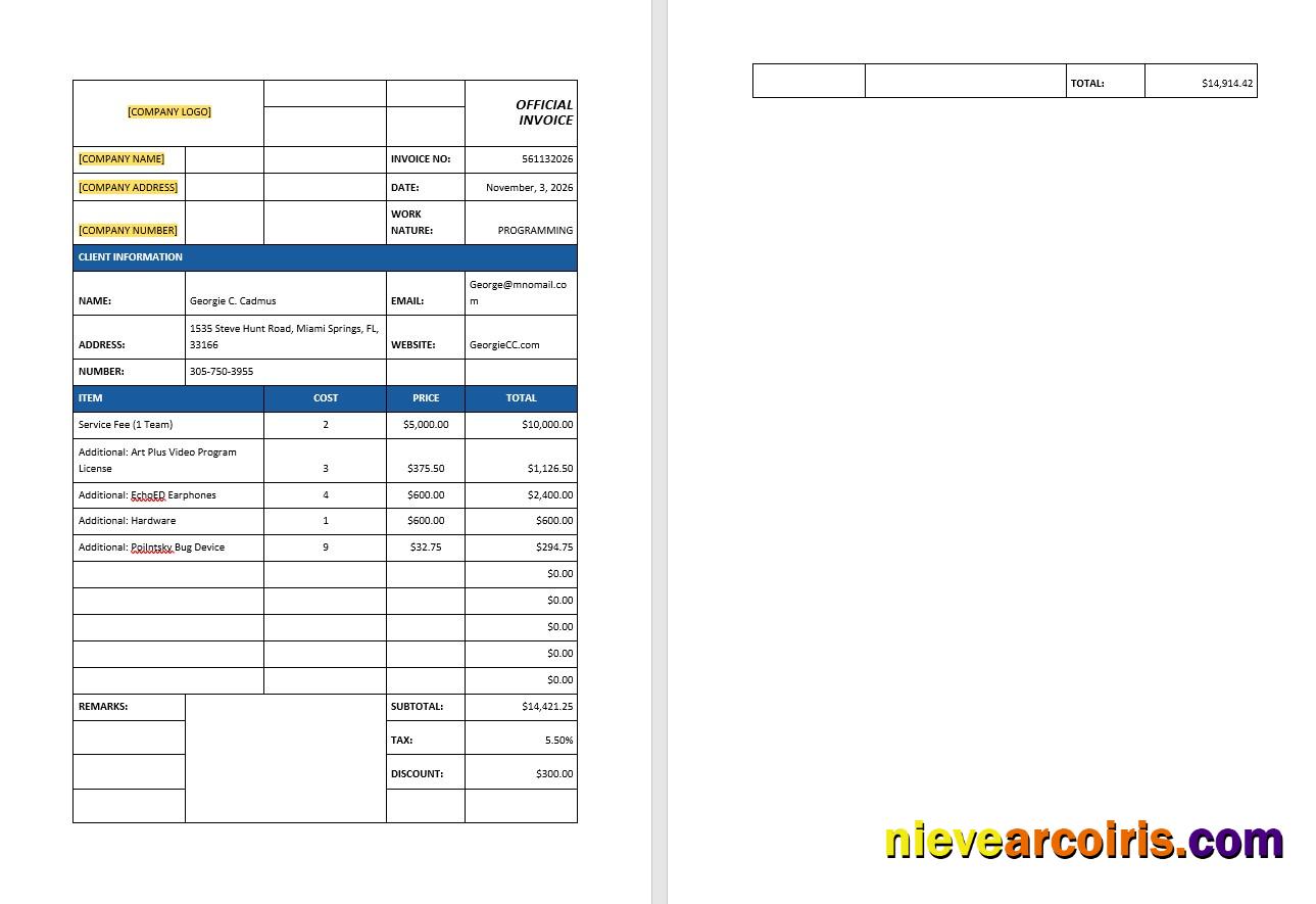 Realistic IT Support Invoice Template