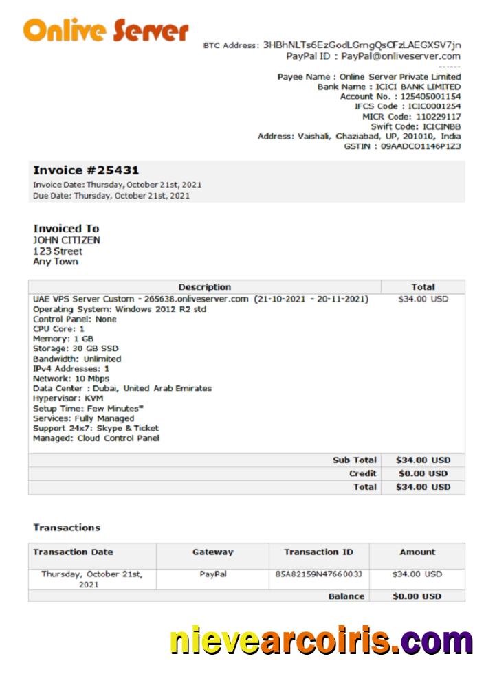 India Online Server Company Invoice Preview