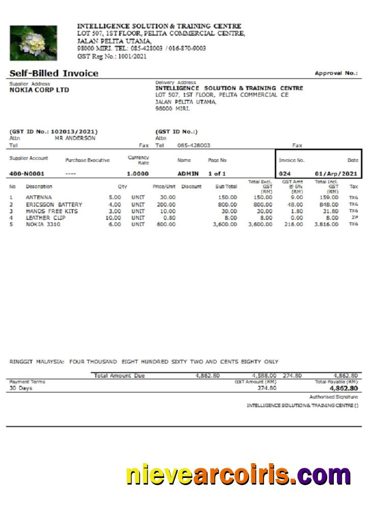 Malaysia Intelligence Solution & Training Centre Self Billed Invoice Photolook