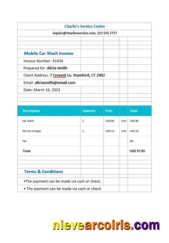 Premium Mobile Car Wash Invoice Template