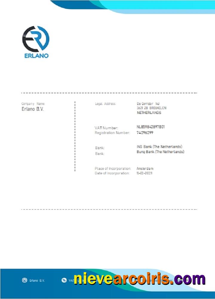 Netherlands ERLANO B. V. Company Payment Invoice Sample