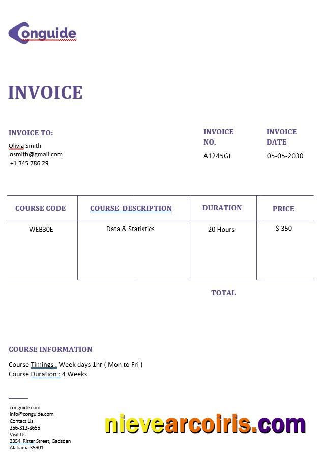 Professional Online Courses Invoice Template