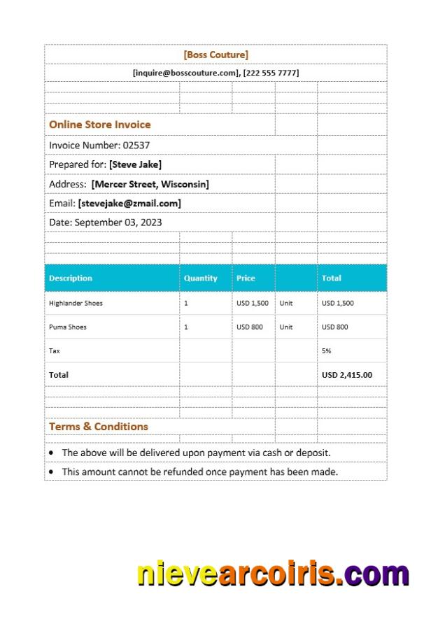 Professional Online Store Invoice Template