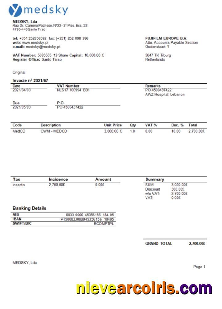Portugal Medsky Lda Company Invoice Preview