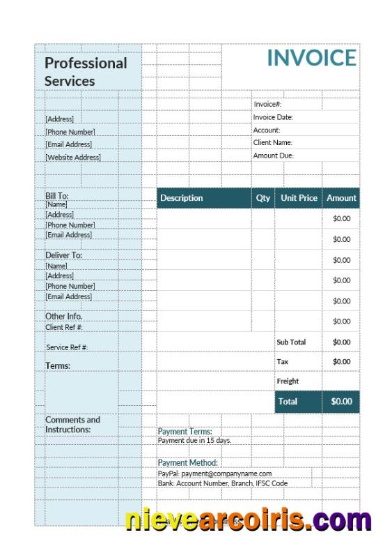 Premium Professional Services Invoice Template