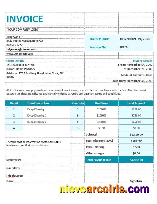 Premium Residential Cleaning Invoice Template