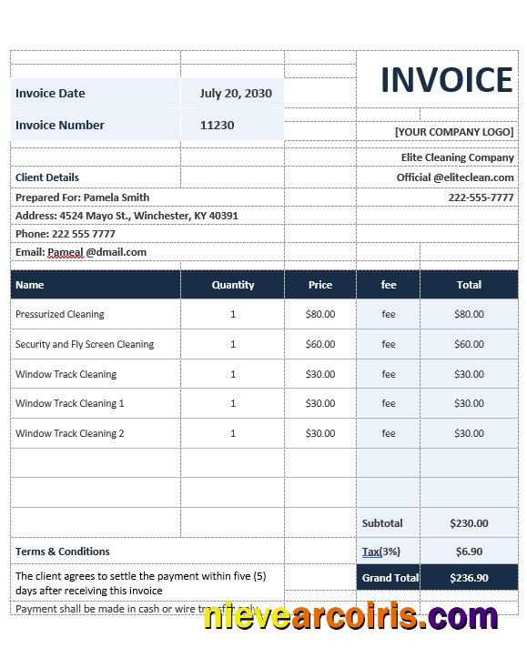 Premium Sample Cleaning Service Invoice Template