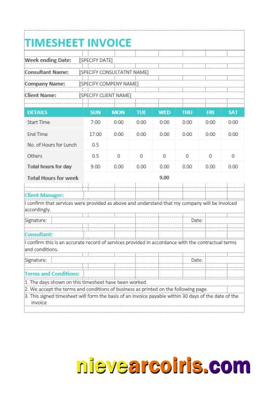Premium Sample Timesheet Invoice Template