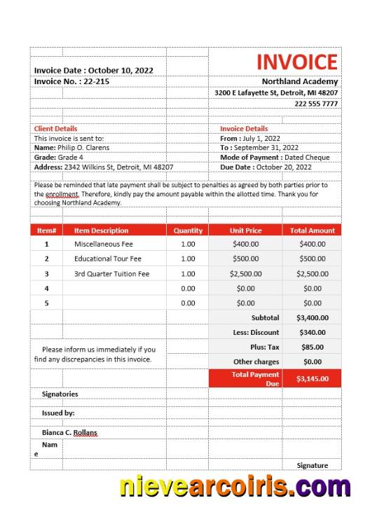 Professional School Fees Invoice Template