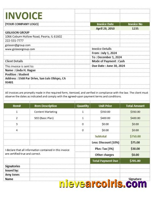 Realistic Simple Agency Invoice Template
