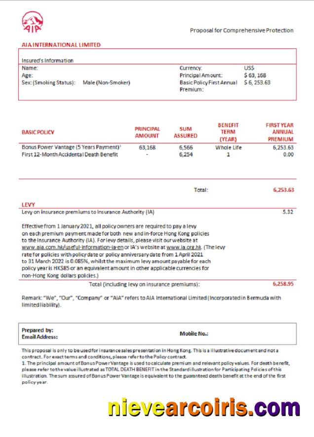 USA AIA Invoice Photolook