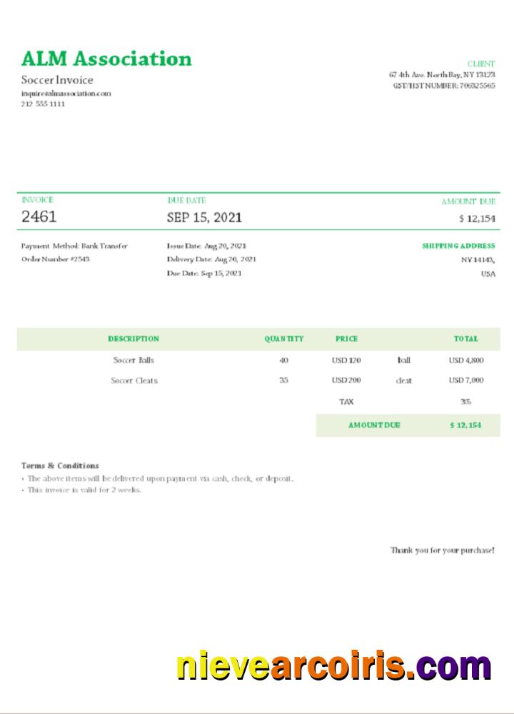 USA ALM Association Invoice Sample
