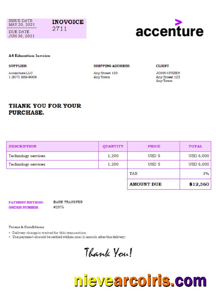 USA Accenture Invoice Preview