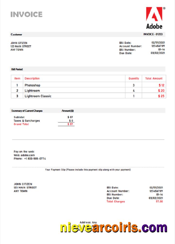 USA Adobe Invoice Photolook