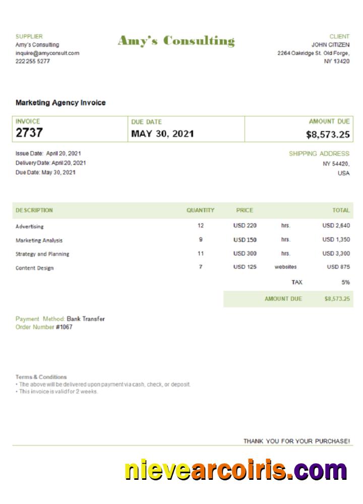 Editable USA Amy’s Consulting Invoice Template