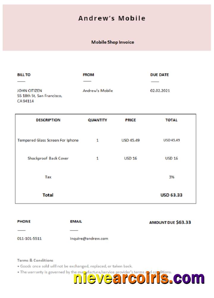 USA Andrew’s Mobile Invoice Sample