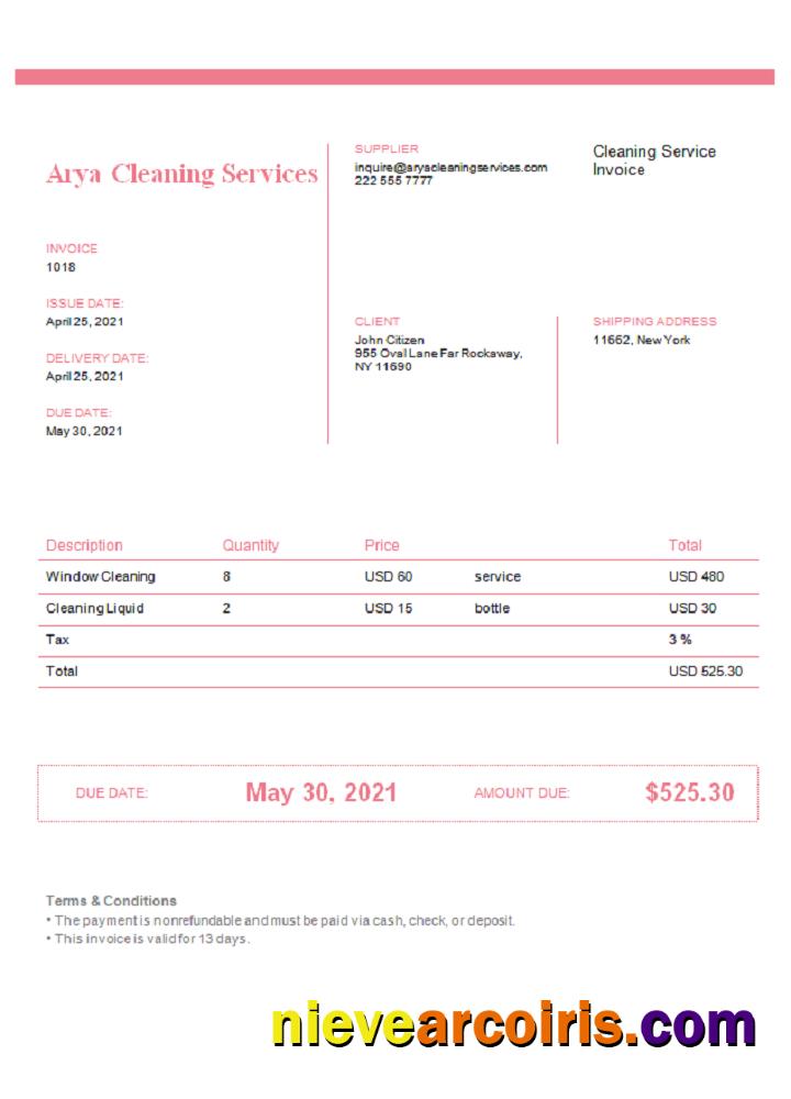 USA Arya Cleaning Services Invoice Photolook
