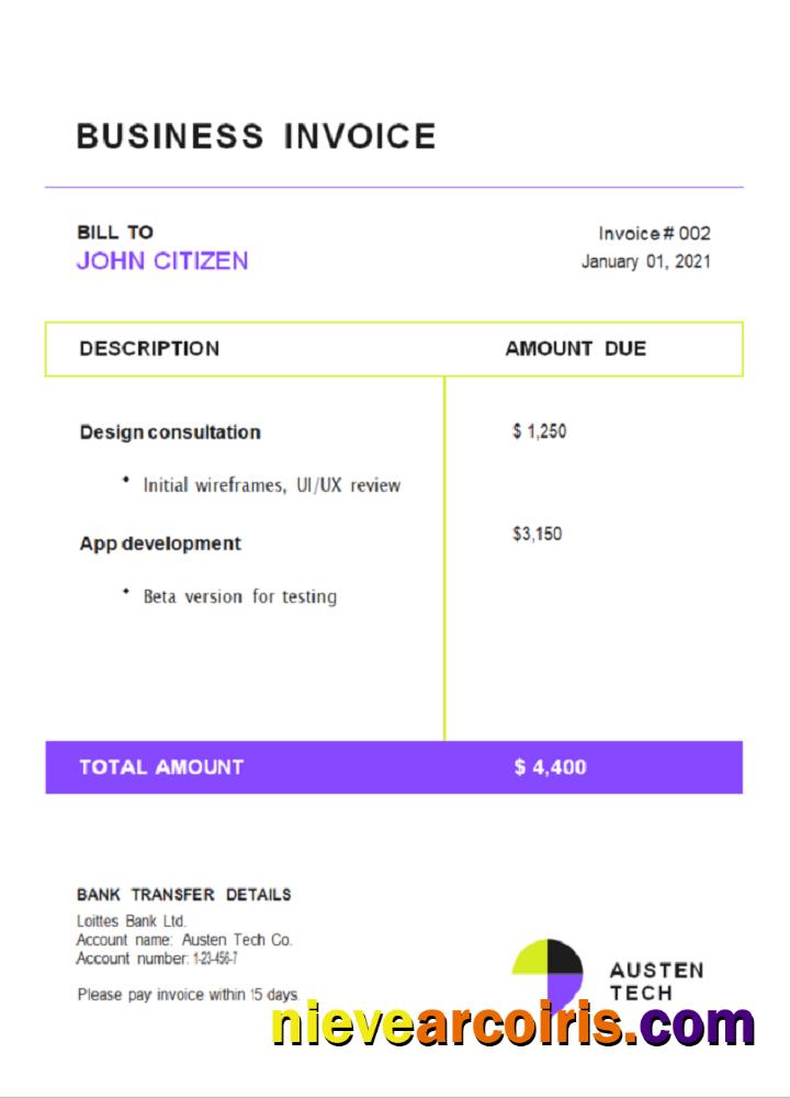 USA Austen Tech Company Invoice Photolook