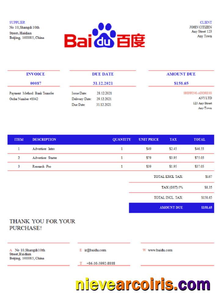 USA Baidu Invoice Preview