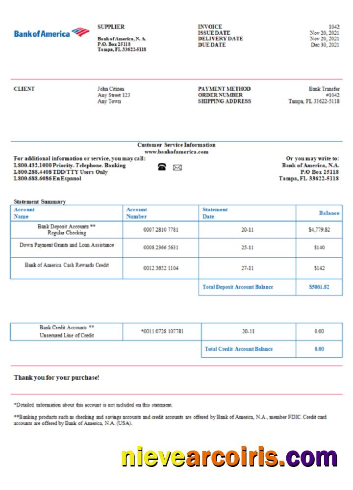 USA Bank Of America Invoice Photolook