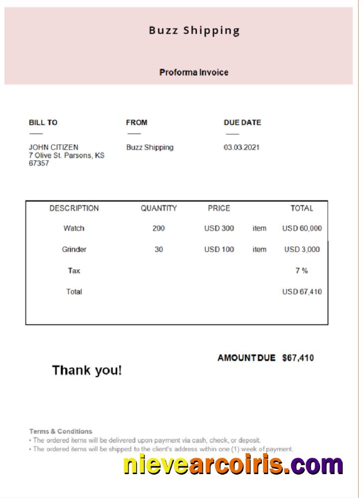 USA Buzz Shipping Invoice Photolook