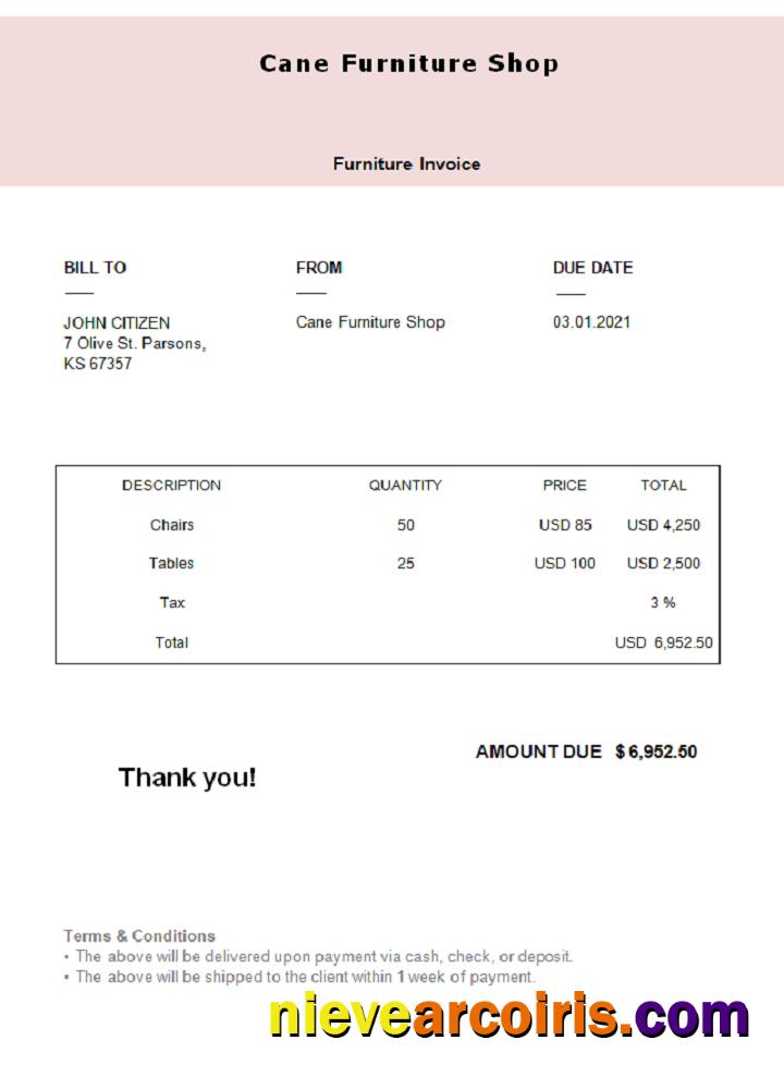 USA Cane Furniture Shop Invoice Template