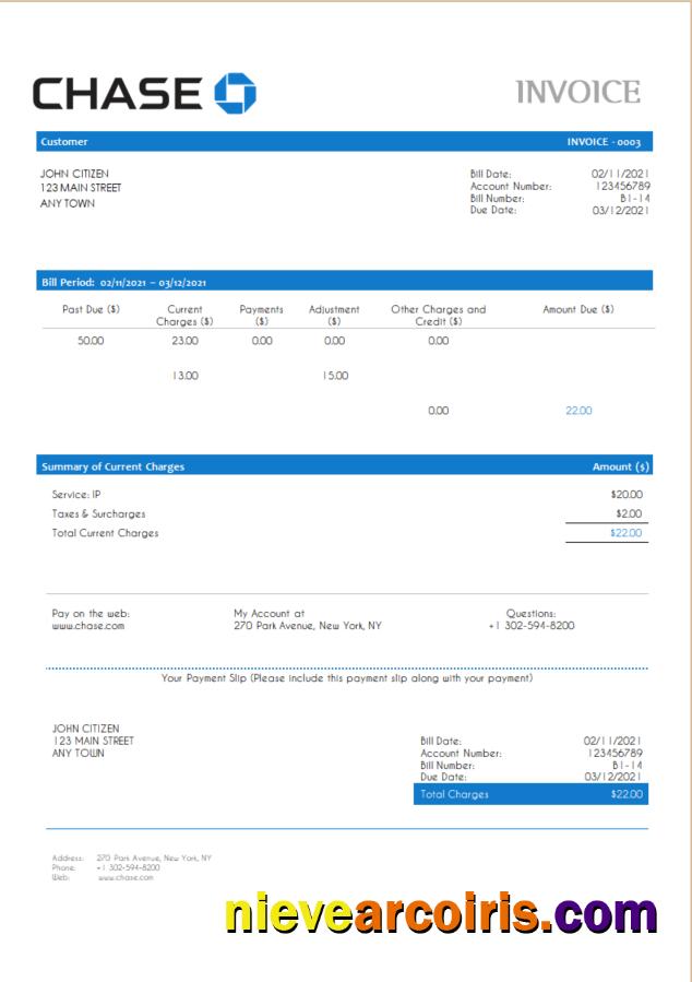 USA Chase Invoice Sample