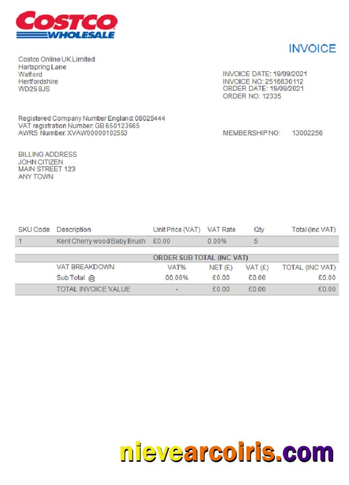 USA Costco Invoice Preview