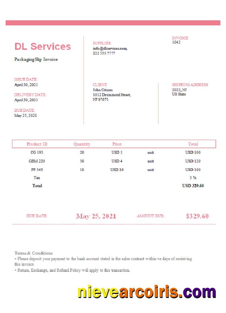 USA DL Services Invoice Photolook