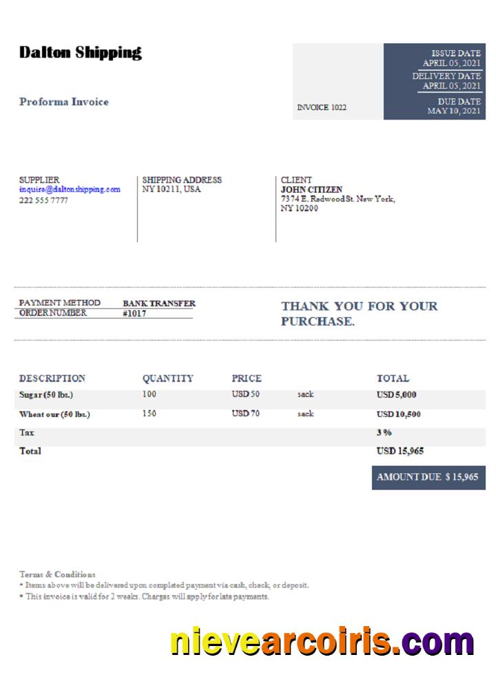 USA Dalton Shipping Invoice Template