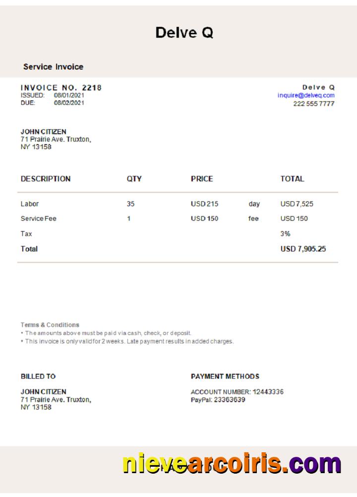 USA Delve Q Invoice Sample