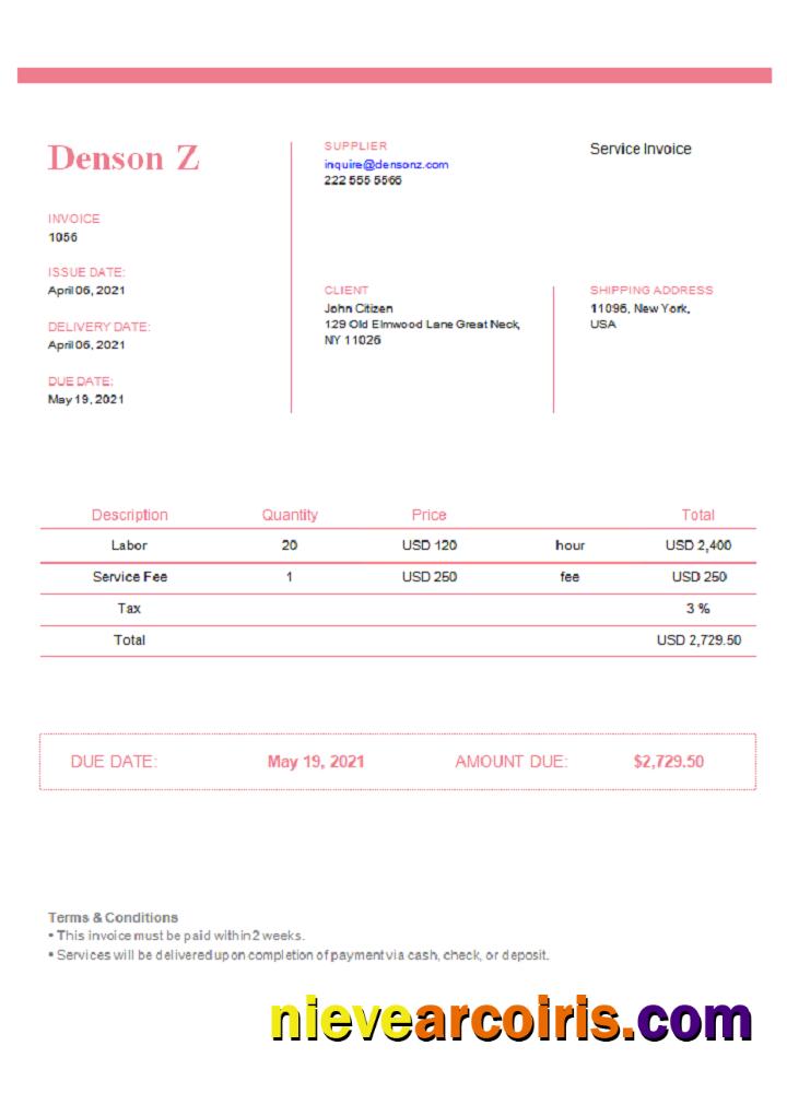 USA Denson Z Invoice Photolook