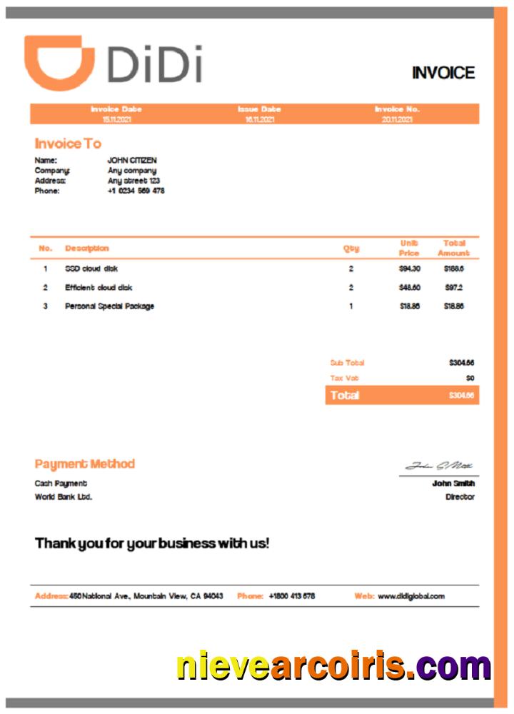 USA Didi Chuxing Invoice Preview