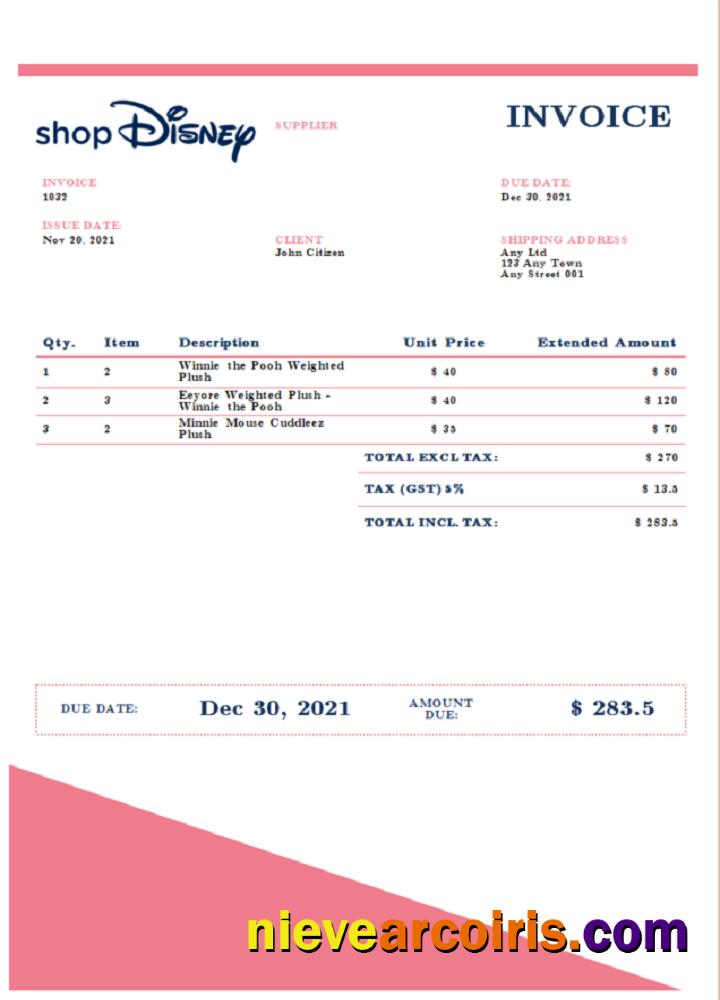 USA Disney Invoice Template