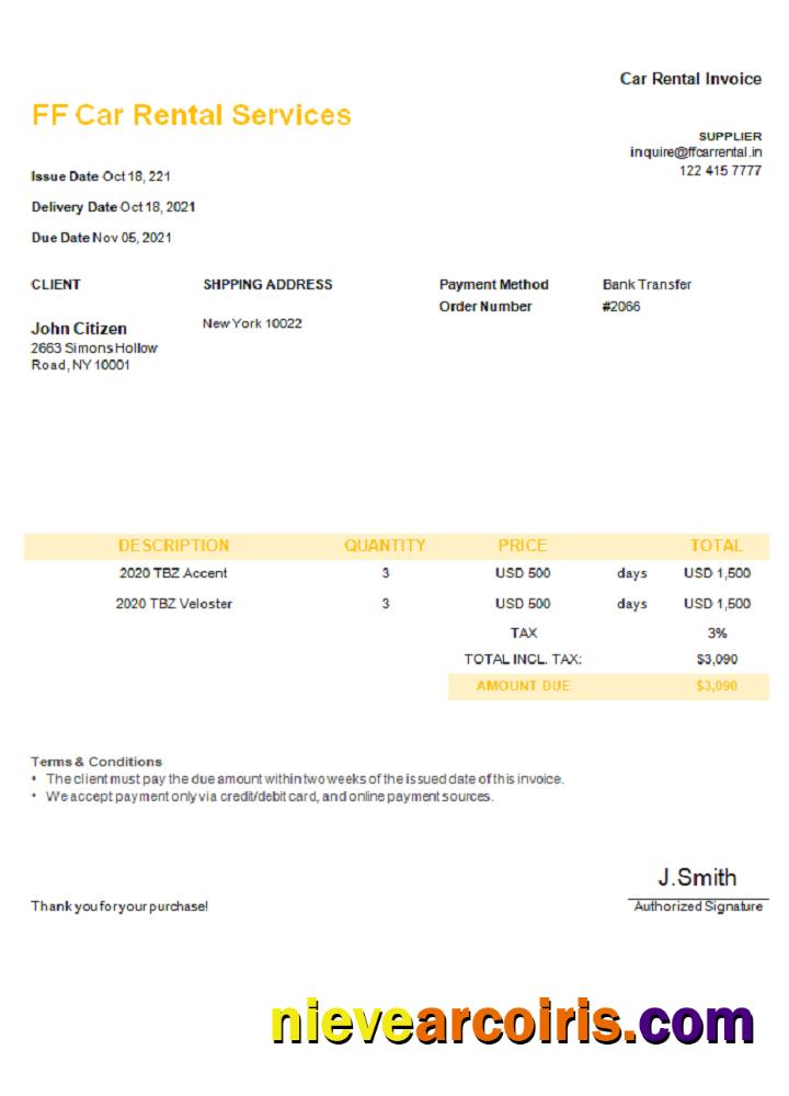 USA FF Car Rental Services Invoice Preview