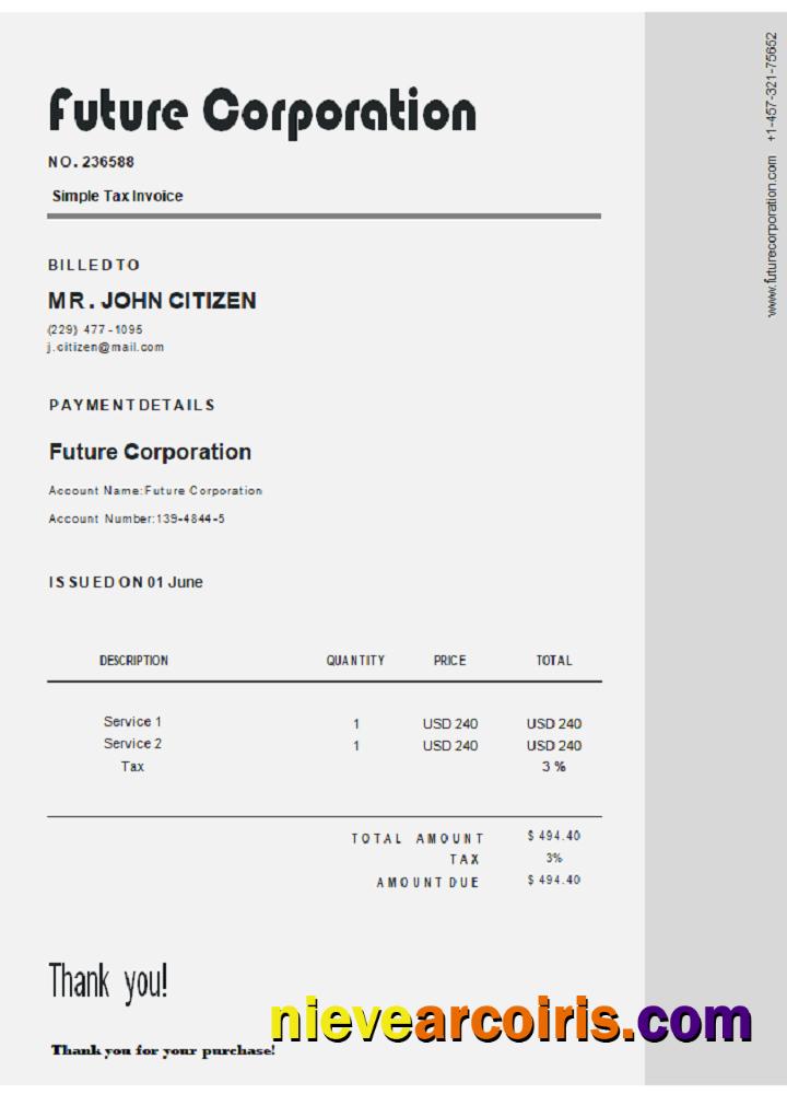 USA Future Corporation Invoice Sample
