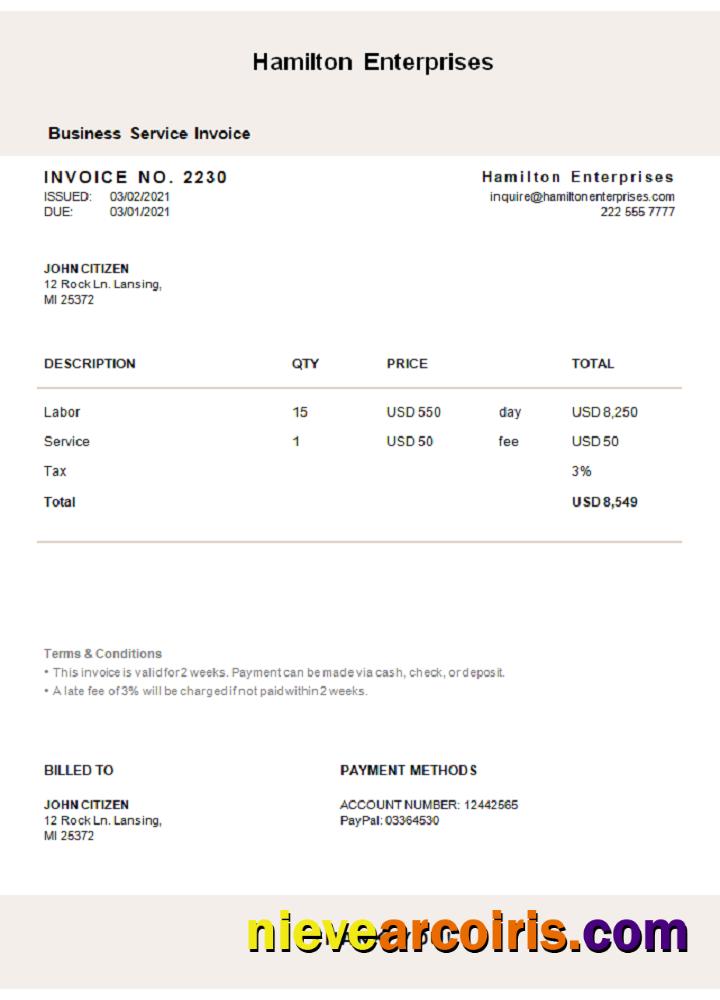 USA Hamilton Enterprises Invoice Template