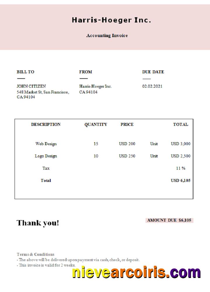 USA Harris Hoeger Inc. Invoice Photolook