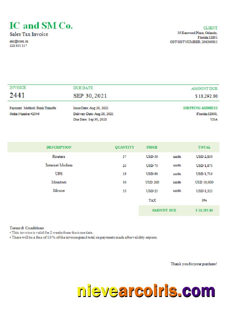 USA IC And SM Co. Invoice Photolook