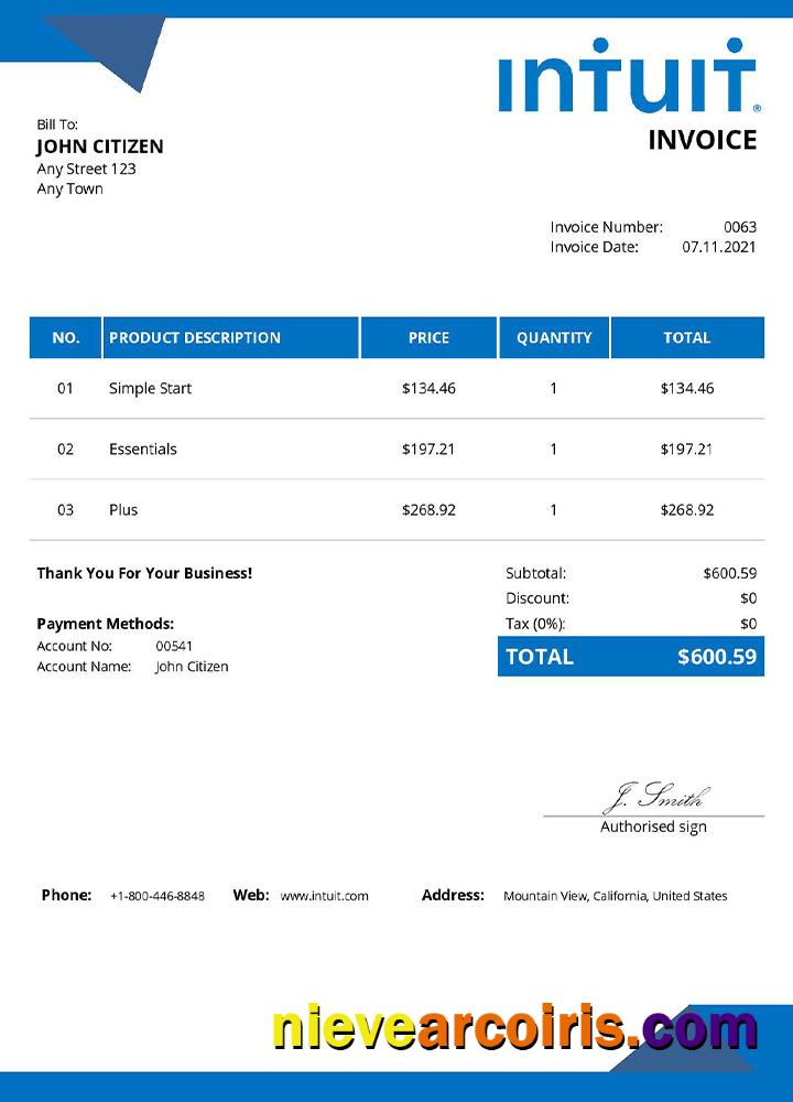 Premium USA Intuit Invoice Template